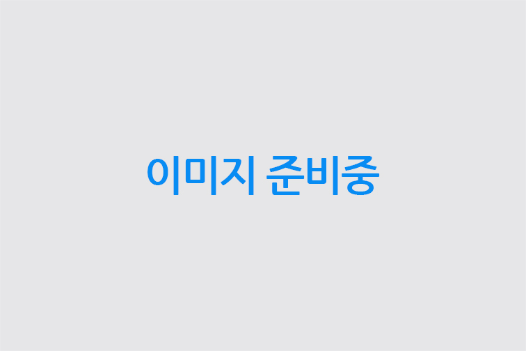 기타